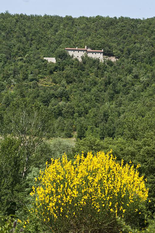 Monastery nestled in the Umbrian hillside with wildflowers